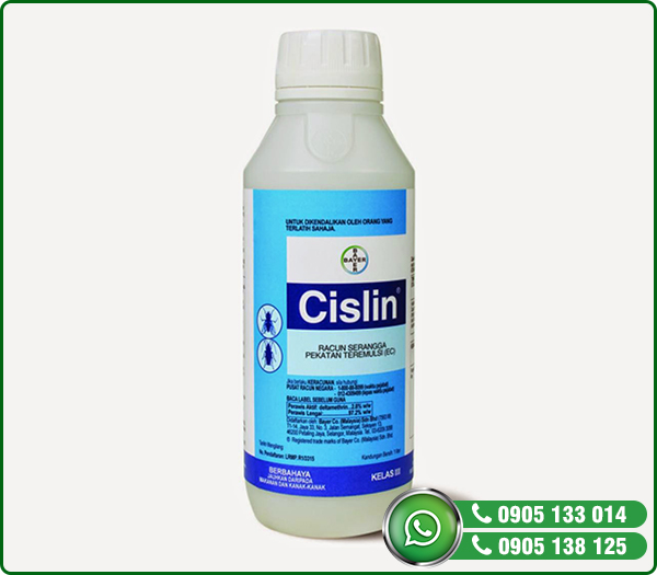 CISLIN 2.5 EC